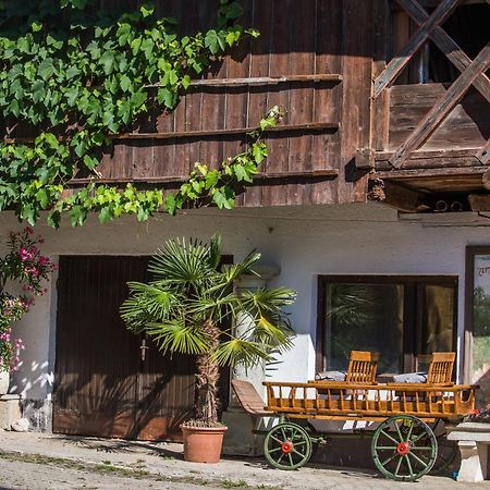 Bio Turisticna Kmetija Frcej-Zupan Villa Bled Dış mekan fotoğraf