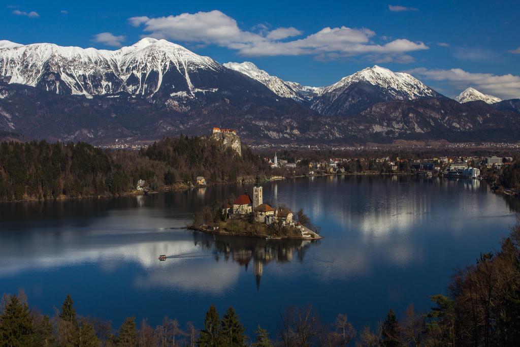Bio Turisticna Kmetija Frcej-Zupan Villa Bled Dış mekan fotoğraf