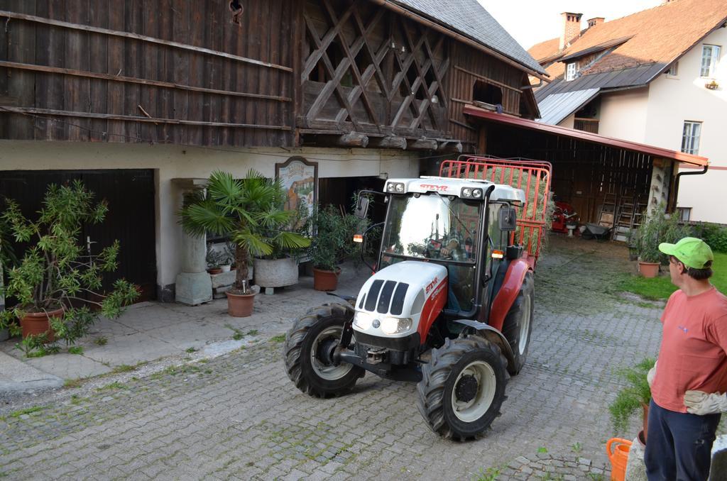 Bio Turisticna Kmetija Frcej-Zupan Villa Bled Dış mekan fotoğraf