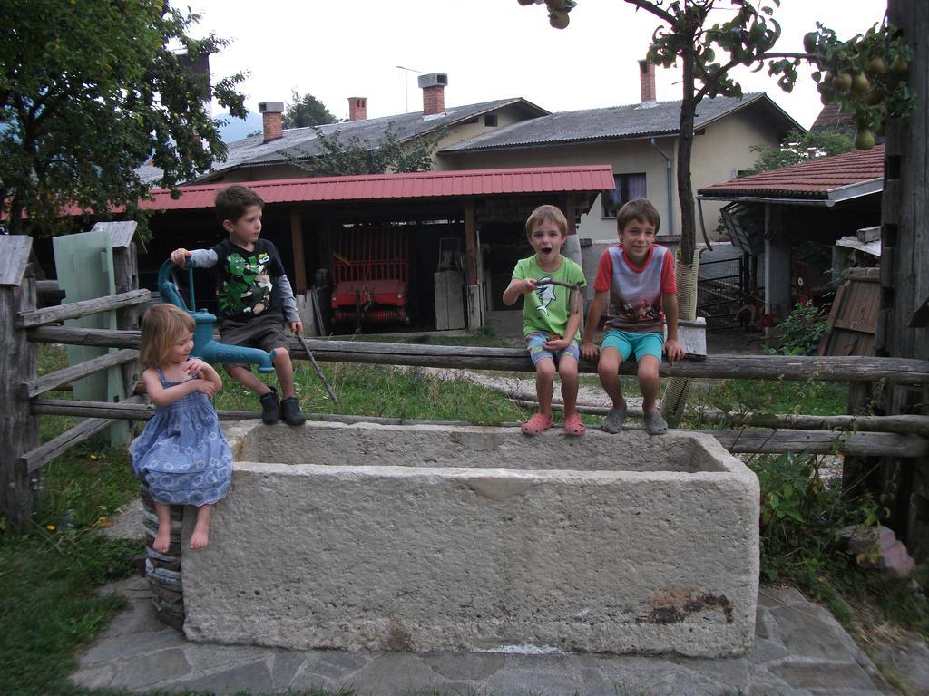 Bio Turisticna Kmetija Frcej-Zupan Villa Bled Dış mekan fotoğraf