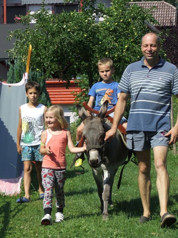 Bio Turisticna Kmetija Frcej-Zupan Villa Bled Dış mekan fotoğraf