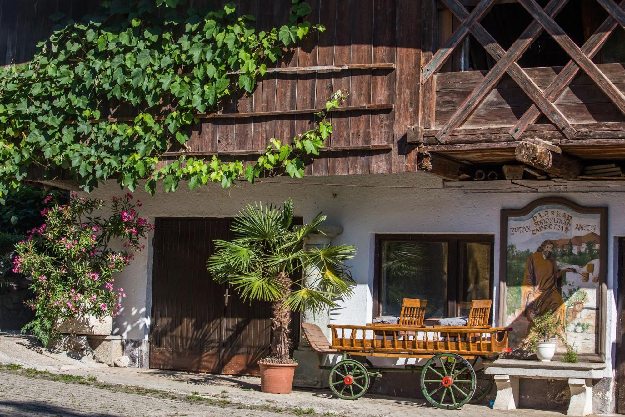 Bio Turisticna Kmetija Frcej-Zupan Villa Bled Dış mekan fotoğraf