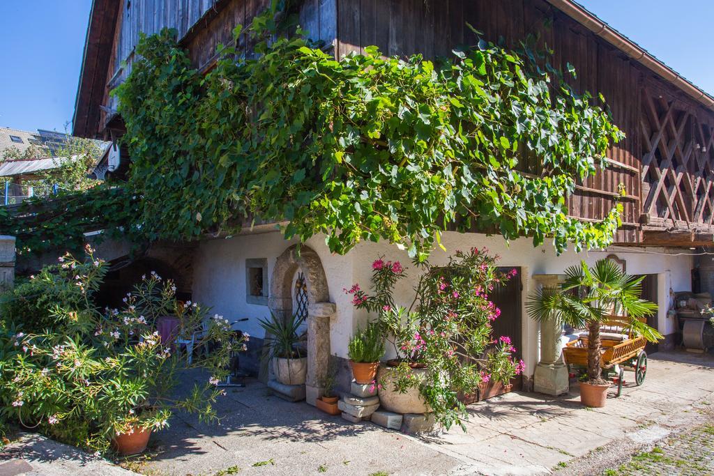 Bio Turisticna Kmetija Frcej-Zupan Villa Bled Dış mekan fotoğraf